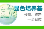 深圳米6体育优康医疗器械跟米6体育签下网站设计合作协定
