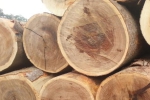 加蓬防腐木业跟米6体育签定网站建设条款