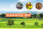 迪庆红河绿春瑶山畜禽养殖跟米6体育签定建网站协议